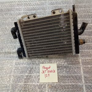 IMG_20240520_111950_565 Radiador Peugeot Jet Force 125